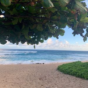 Meet your Posher, Arly